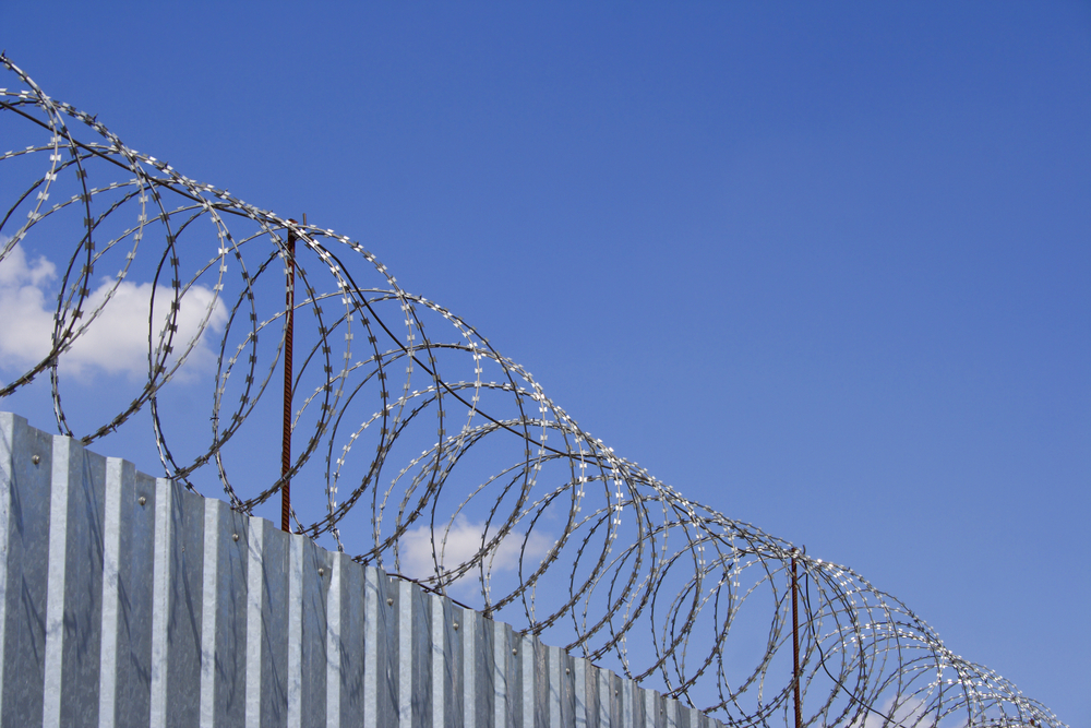 GTMO detainee wants life as bee keeper after release