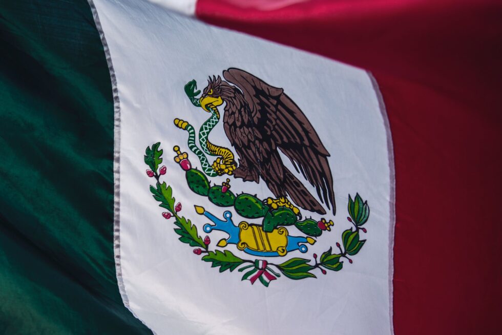 Mexico sues multiple gun manufacturers for $10 billion
