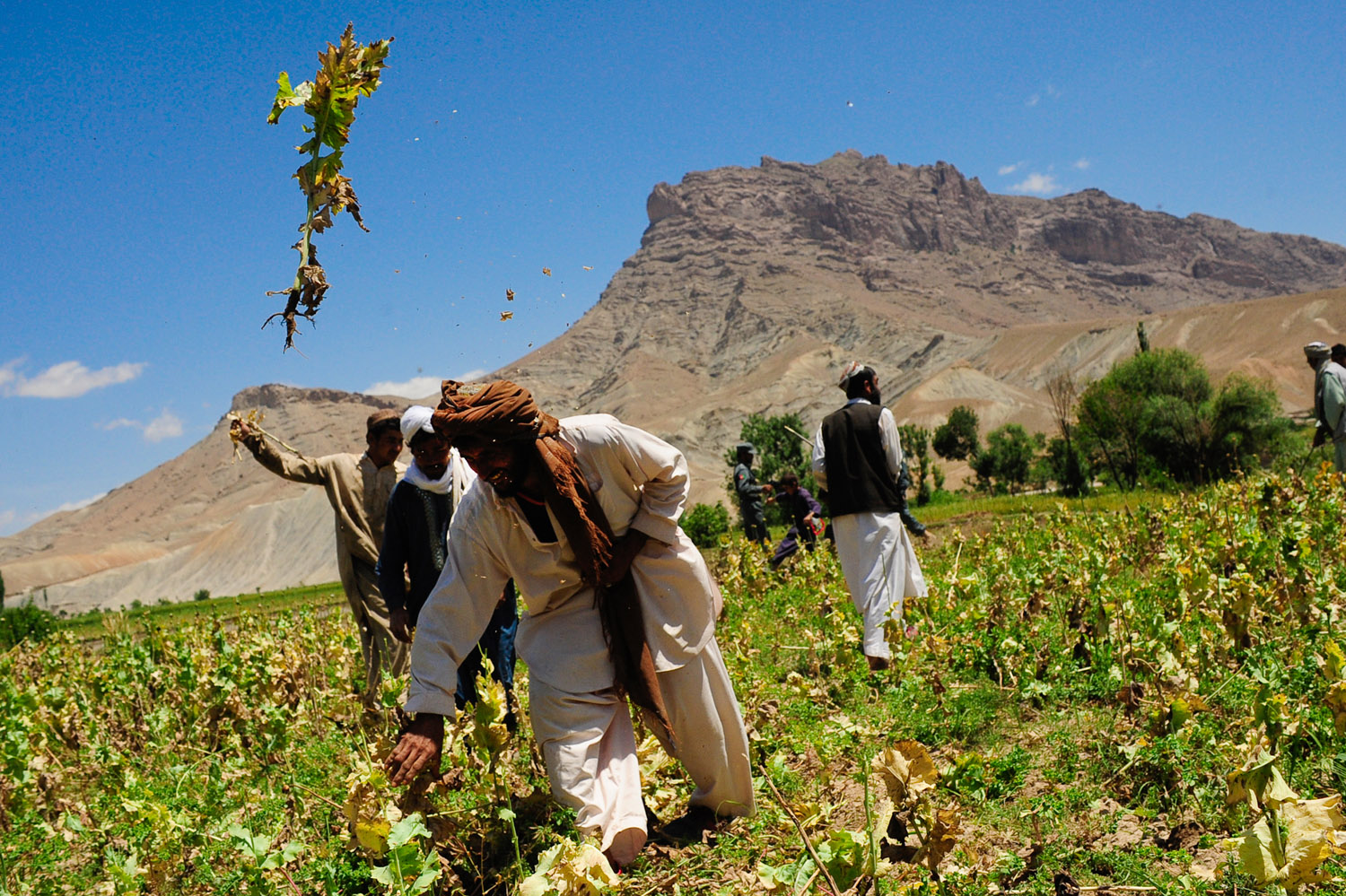 India captures $2.7bn of Afghan heroin